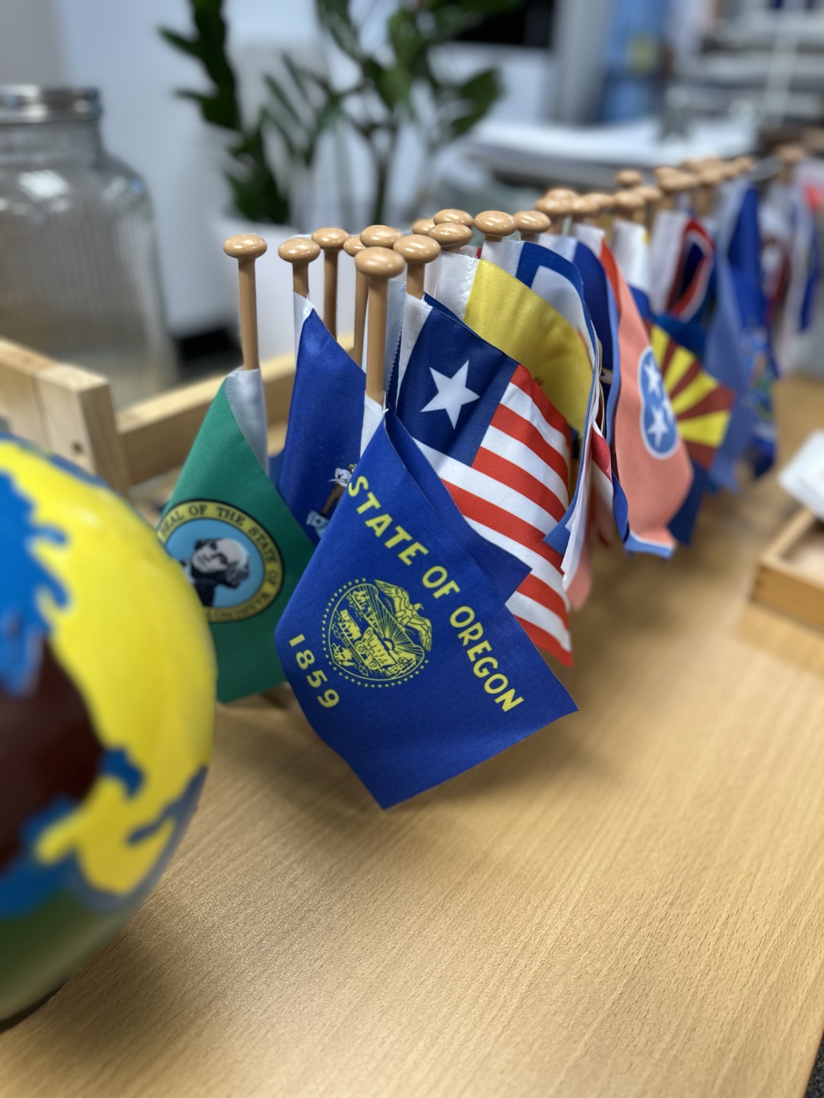 the flags of the world beside the globe